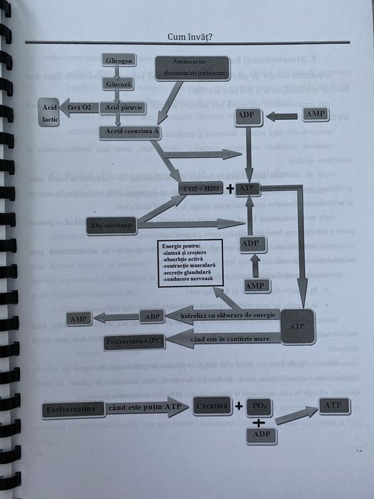 Vand materiale biologie admitere medicina