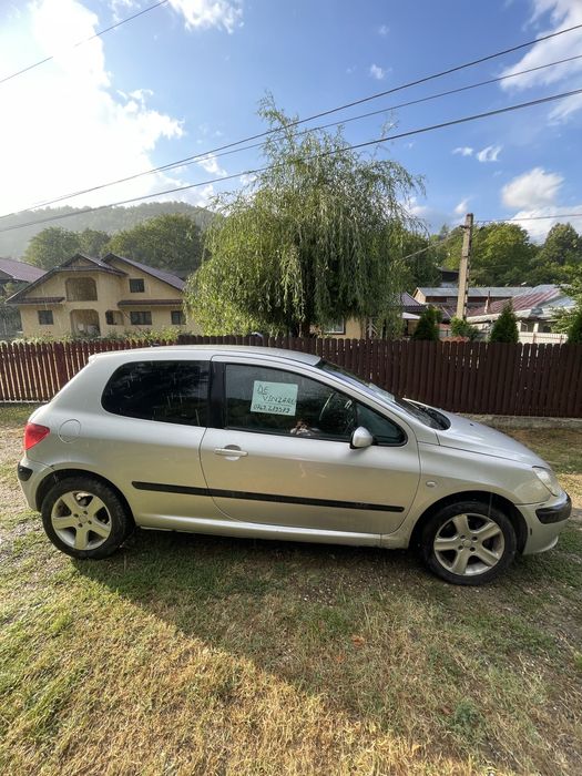 Vand Peugeot 307