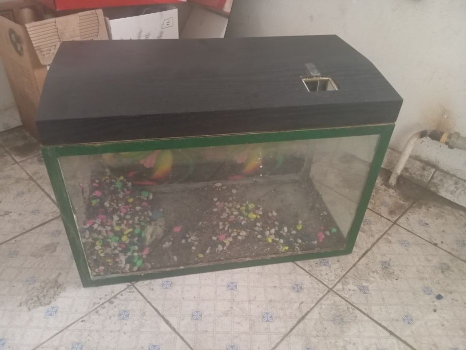 Аквариум продается