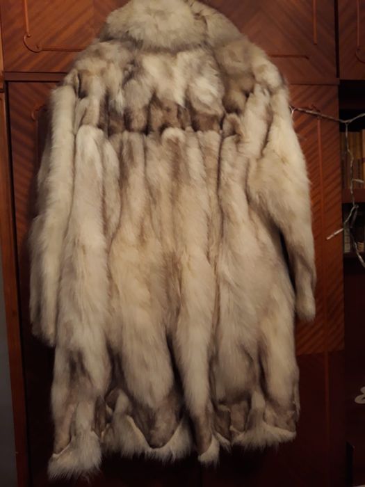 Haina de vulpe argintie