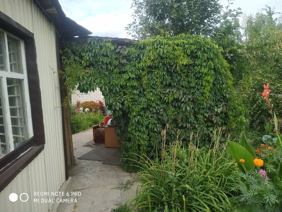 Дом на восточном