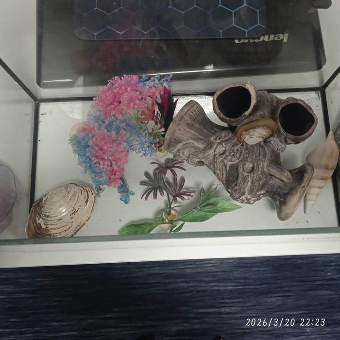 Продам аквариум 15л