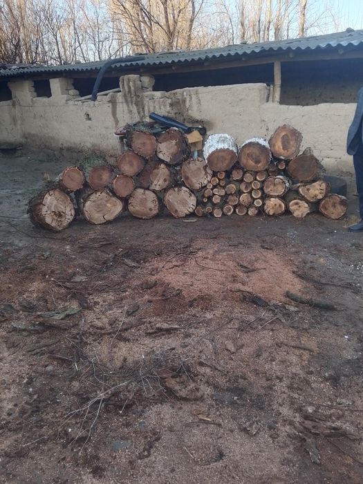 Otin sotiladi pechka bob