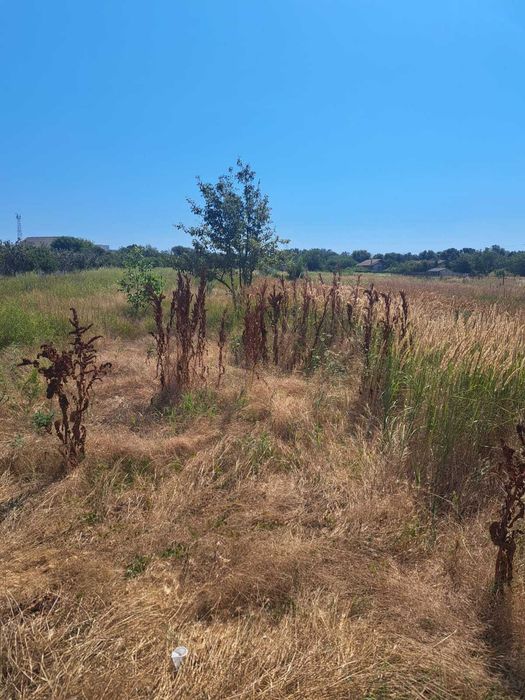 Teren Intravilan 400 mp – LAZU, Langa strada Luceafarului – 26,05 ml deschidere