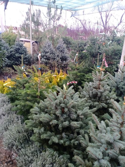 Гарантия качество