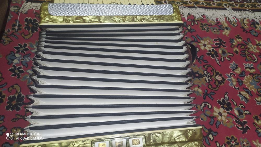 Немецкий акардеон