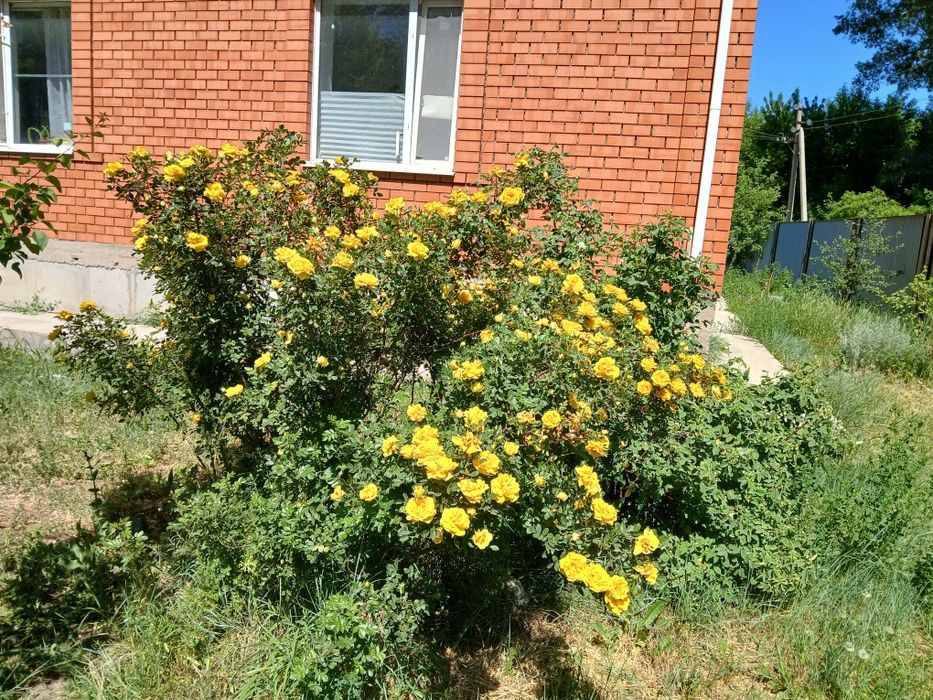 Продам 2х эт. дом 246м2