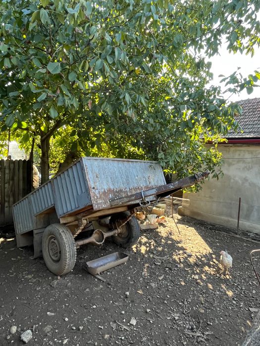 Tractor legumicol 445