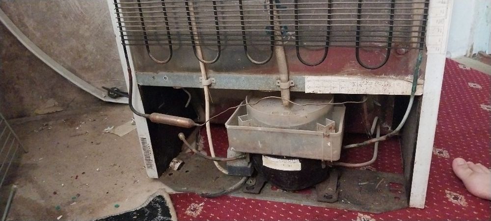 Muzlatgich xolodilnik Atlant