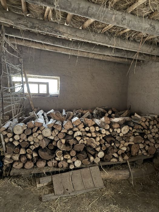 Утин-Oʻtin сотилади