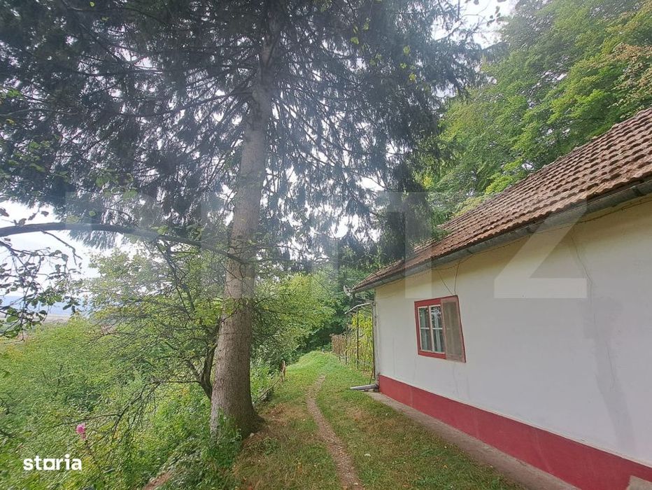 Casa de vanzare – Colonia 1 Mai 65.000 EURO
