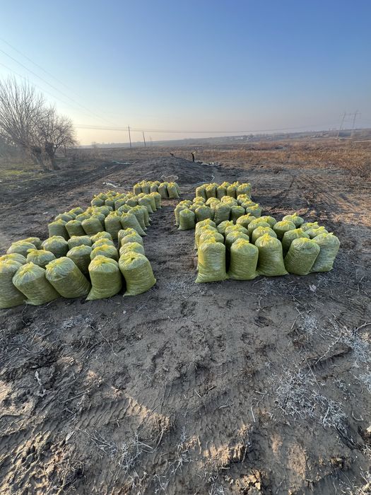 Selyoz mol yem 60 tonna