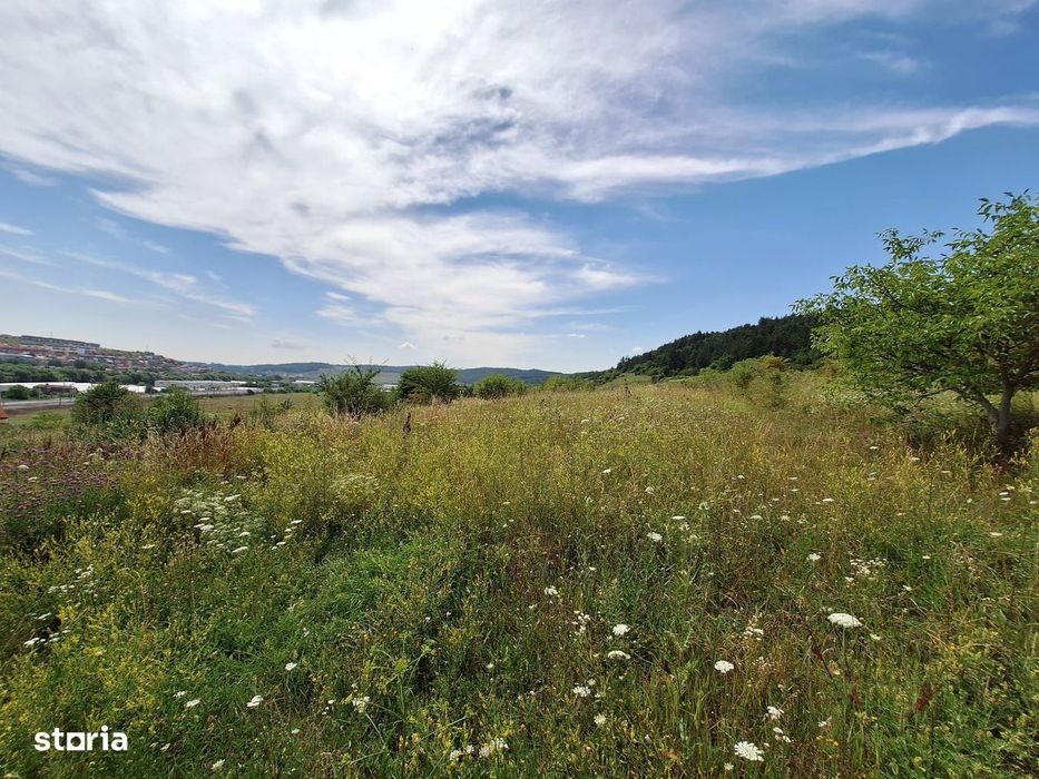 Teren intravilan 5.800 mp, Baciu Vatra Satului Vechi, Panorama superba