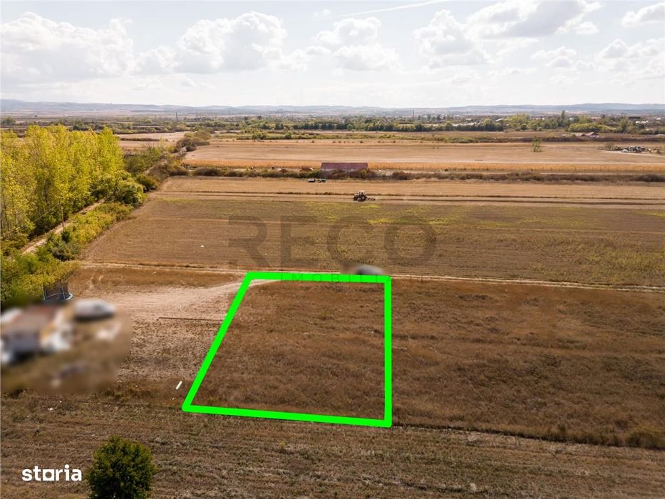 RECO Teren intravilan Tileagd 577 MP
