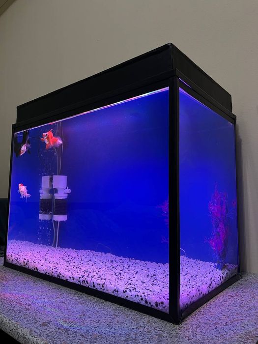 Аквариум 100л  Рыбки в подарок