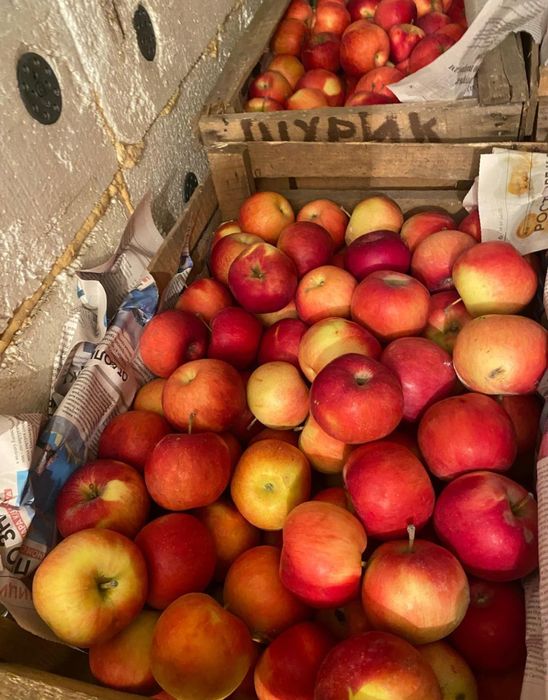 Продам яблоки сорт Айдорлет