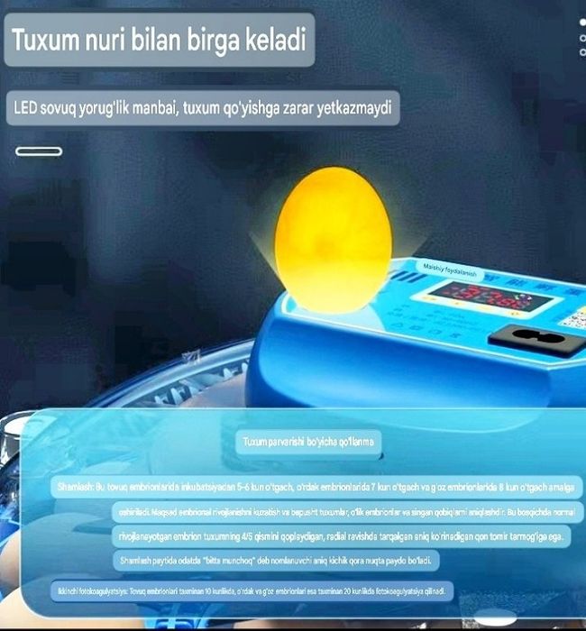 Inkubator Avtomat 26 ta lik