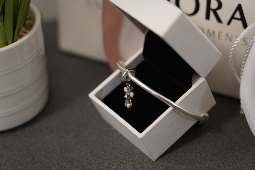 Талисман Пандора - Pandora x Disney Рататуй