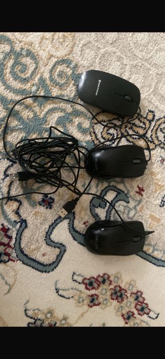 Мышка для компьютера