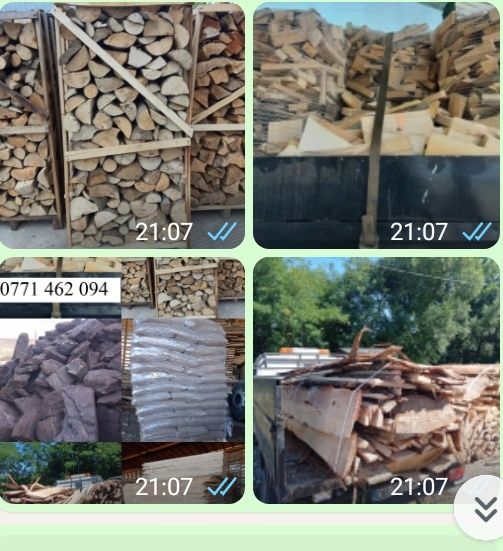 Lemn foc fag - sparte la plasa/palet, des. Fag, Mo., carbuni