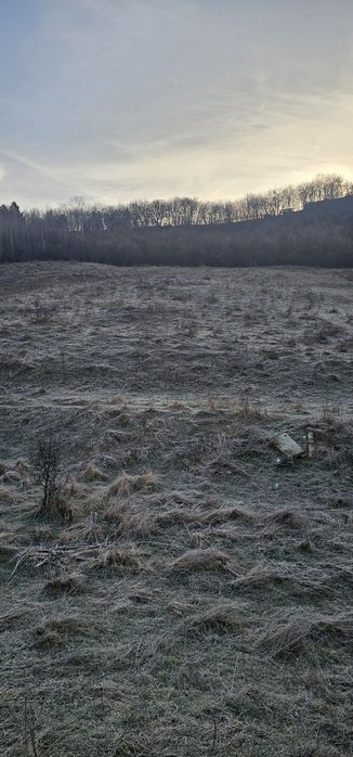 Vand teren intravilan /livada 4976m Valea Sasului