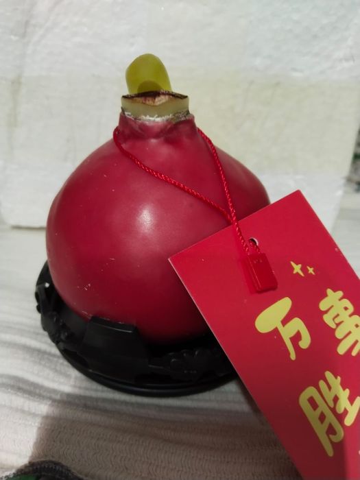 Амариллис восковая луковица