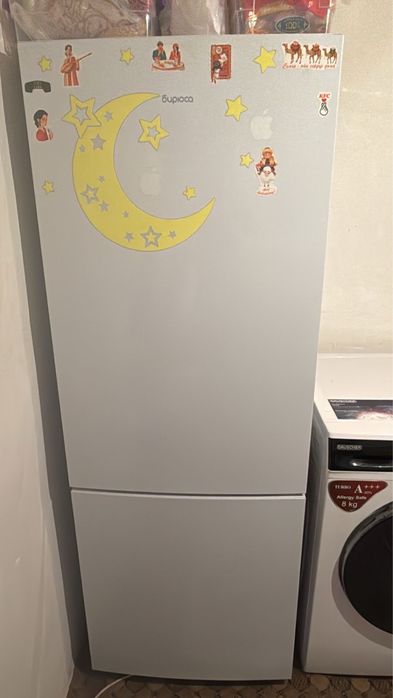 Холодильник Бирюса 6133