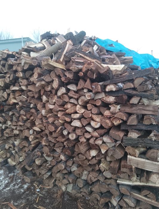 Дрова карагач продаю