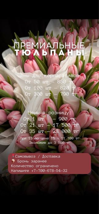 ТЮЛЬПАНЫ со скидкой!