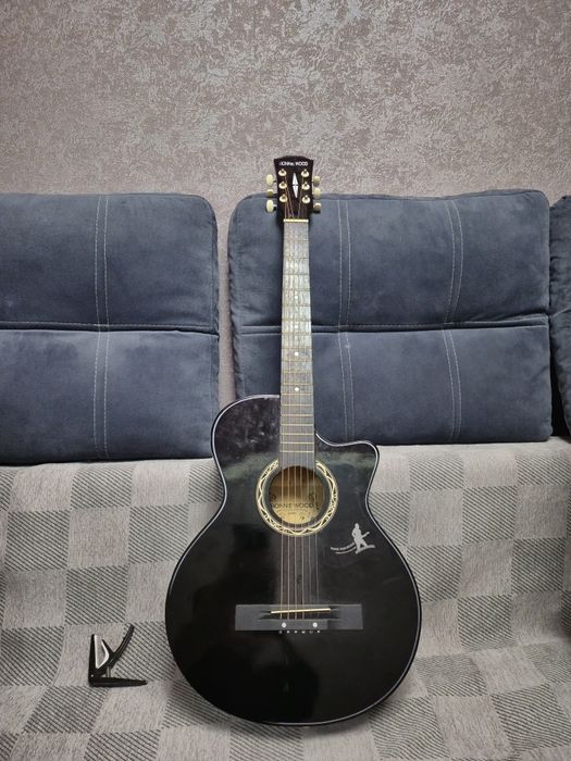 Гитара + чихол + струпци