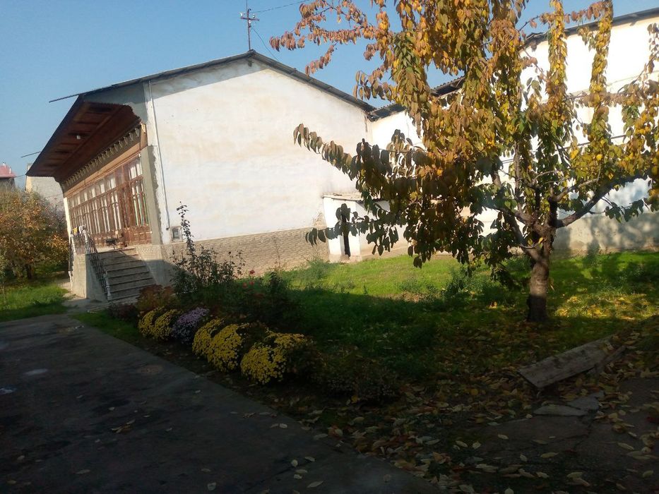 Ipadromda yer sotiladi 11.5 sotih