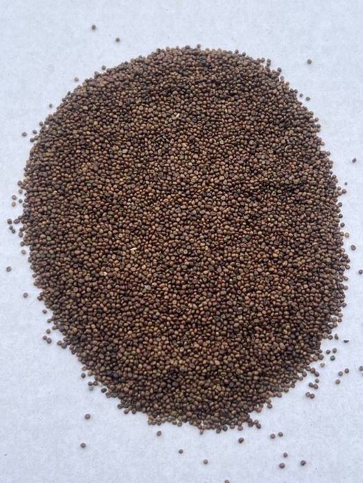 Vand samanta ghizdei!