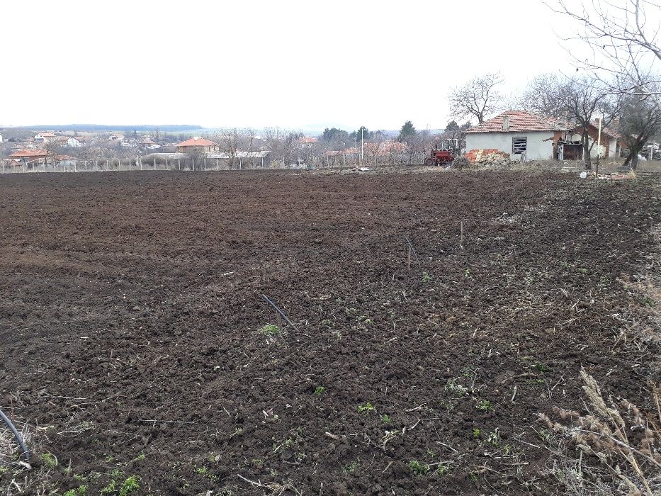 Продава се Парцел в с. Соколово, Област Добрич - 5860 кв.м за 8 €/кв.м - Снимка #4