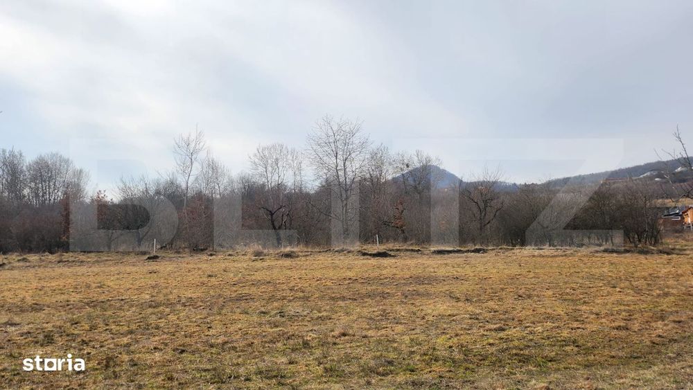 Teren extravilan, 20 de arii, Valea Rusului, pretabil pentru investiti