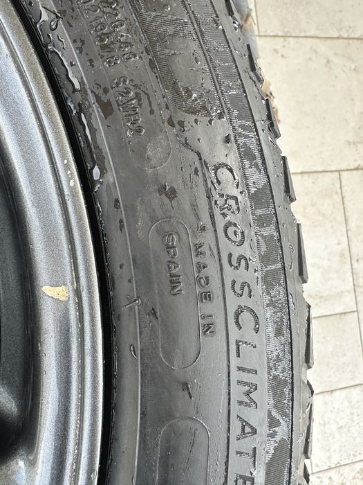 Tesla model 3 disk michelin cross climate2