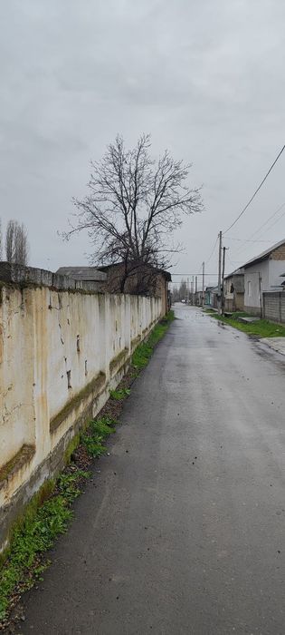 Toshkent shahar yangi hayot tumanidan yer