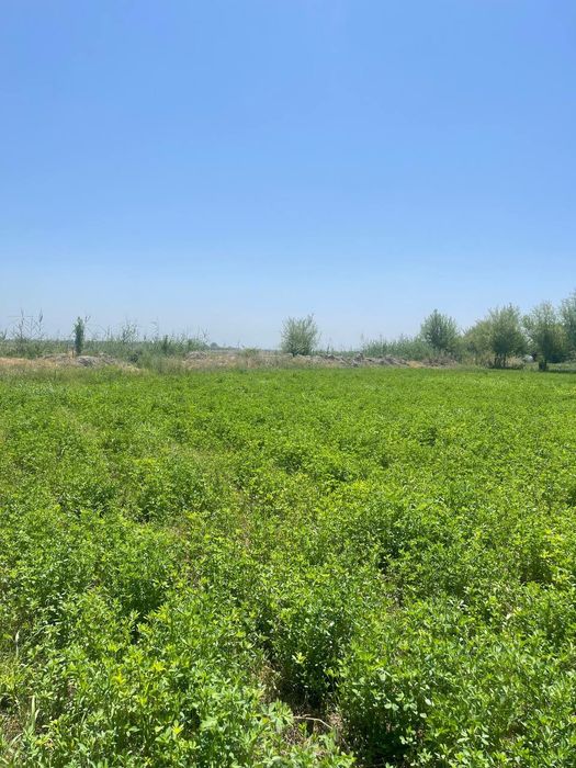 Продаётся 2 участка в одном месте!