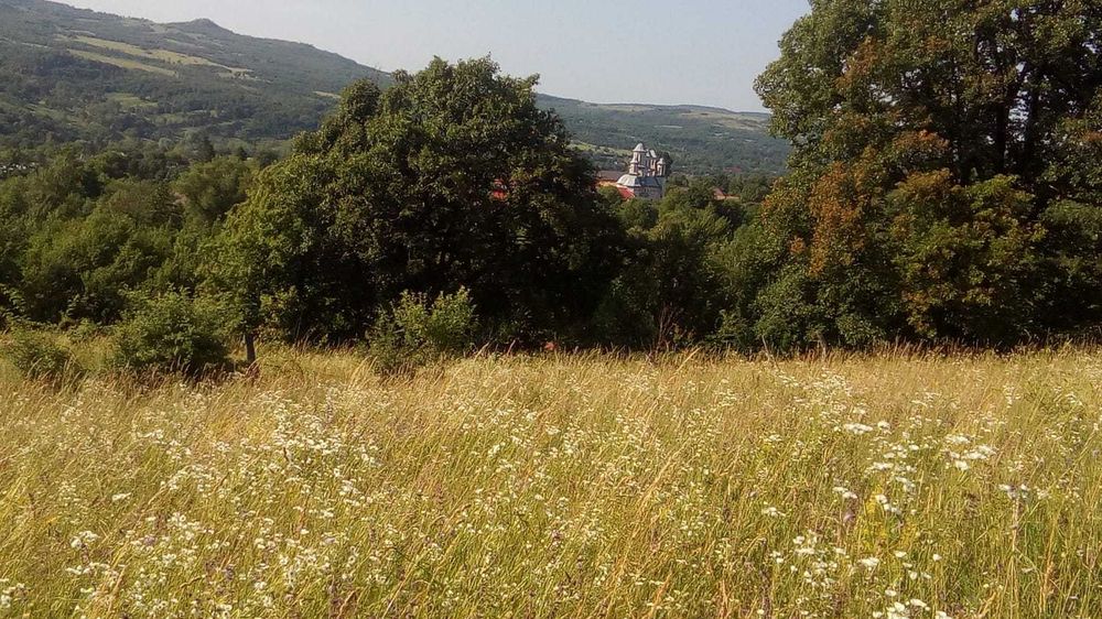 Vând teren extravilan in Bistra Mureșului