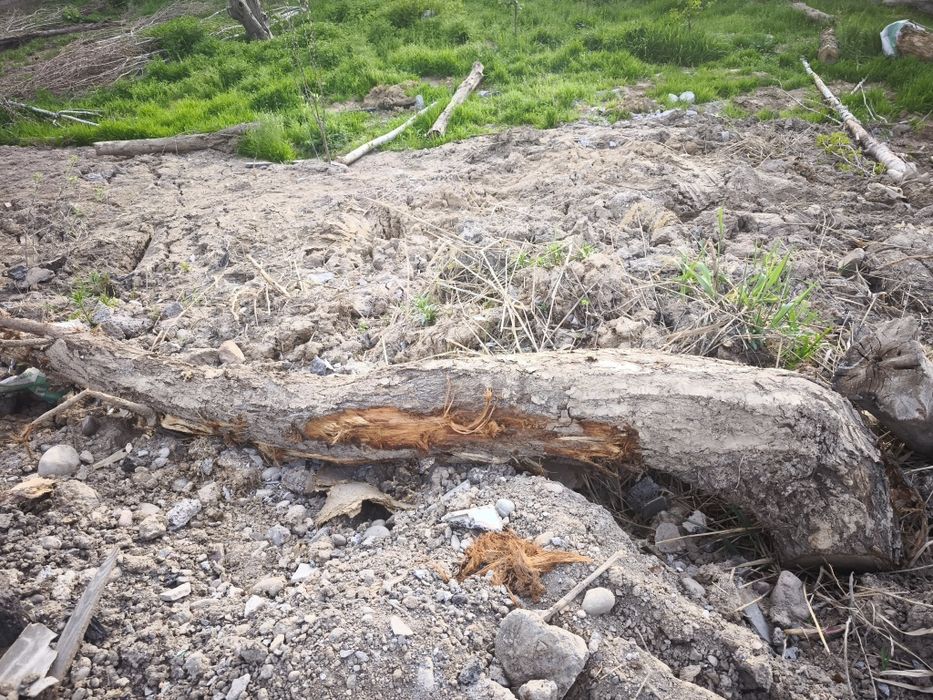 O'tin Otin Отин tekin faqat hammasini olish kerak