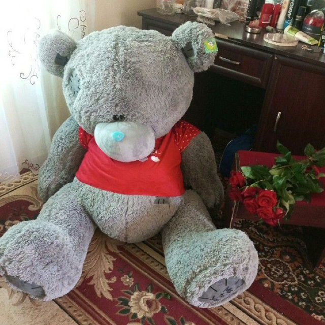 Teddy ayiq yomshoq oʻyinchoq