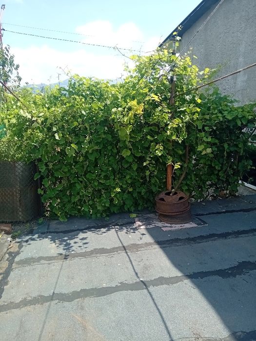 Spatiu depozit Garaj mare Vulcan