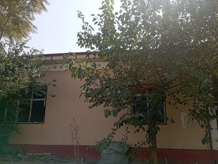 Kotej Hovli(Orienter Solnichniy)