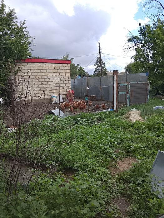 Продам дачу за гиперАнваром