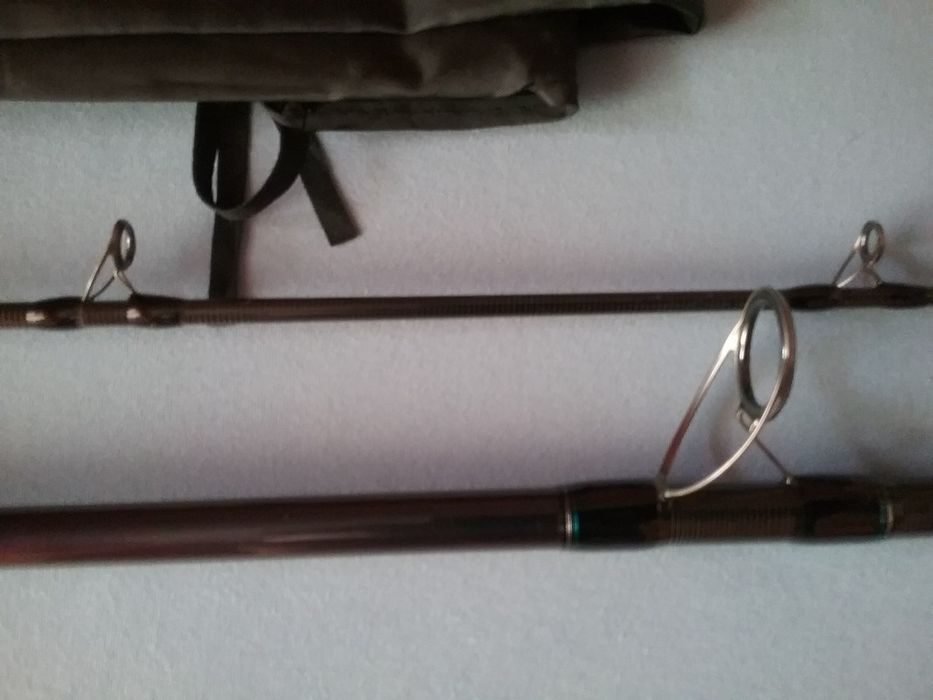 Lanseta somn Daiwa Powermesh catfish boat 2,75m,act 100-400g(noua)shim