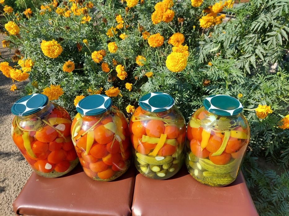 Продам солёные огурцы, помидоры, ассорти