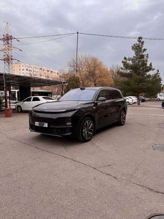 Li 9 Max. Tozza 2024