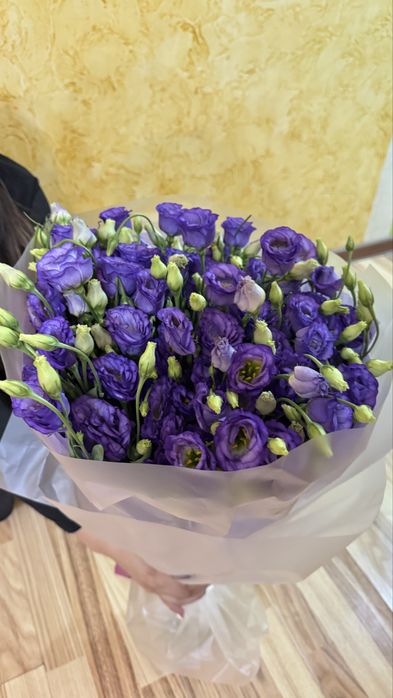 Лизиантус    (Эустома)