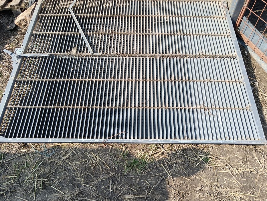 Sita mare sita mica porumb