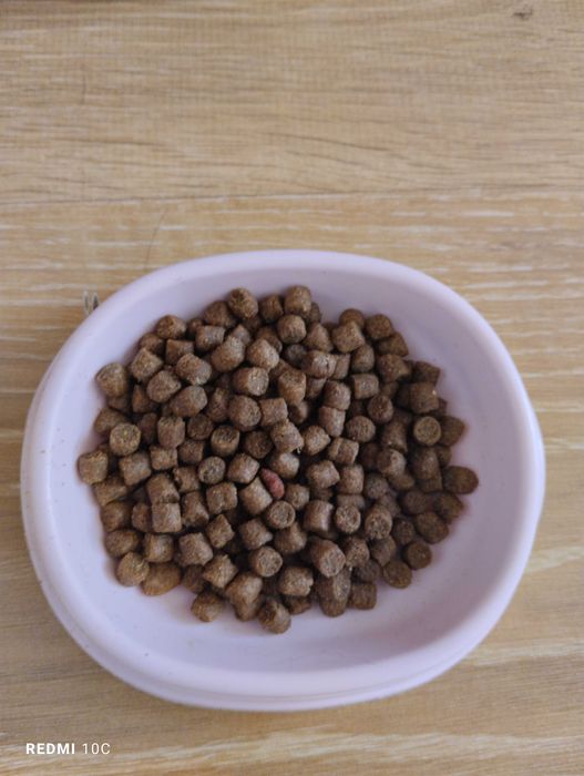 Продам корм для кошек