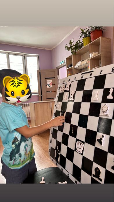 Тренер по шахматам